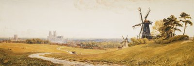 Beverley Minster de Robert Thorne-Waite