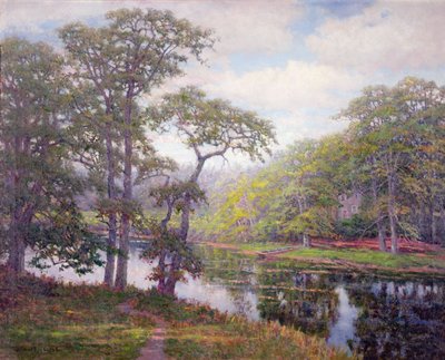 Peacedale, Rhode Island (óleo sobre tela) de Robert Ward van Boskerck