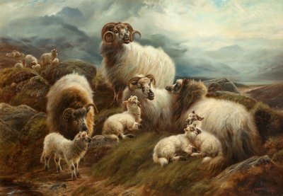Ovelhas em uma paisagem, 1894 de Robert Watson