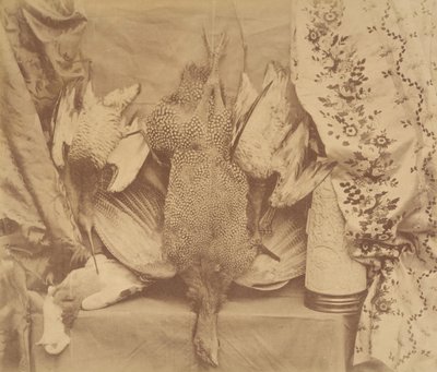 Natureza morta e bordado, 1856. de Robert Wilfred Skeffington Lutwidge