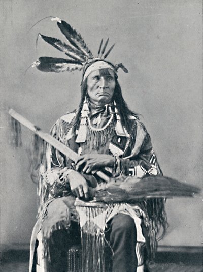 Chefe Sioux, 1912 de Robert Wilson Shufeldt