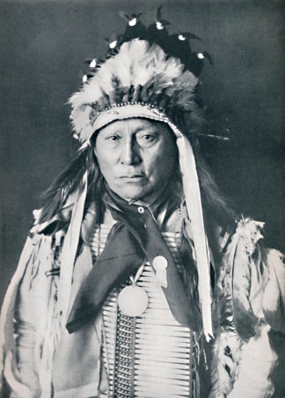 Um chefe Sioux em sua pintura de guerra, 1912 de Robert Wilson Shufeldt