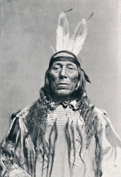 Vista de rosto inteiro de um índio sioux, 1912 de Robert Wilson Shufeldt