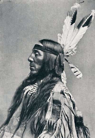 Vista de perfil de um Sioux, 1912 de Robert Wilson Shufeldt