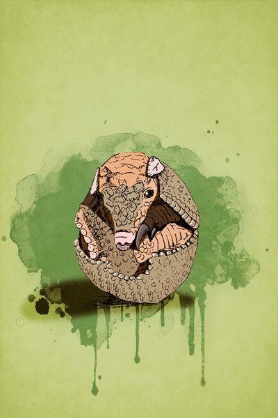 Tatu bebé, 2022 (digital) de Roberta Murray