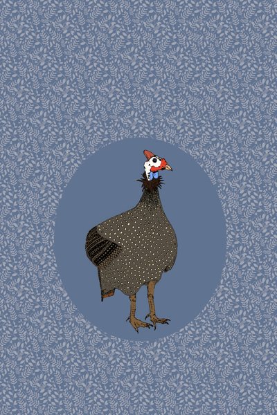 Galinha-d