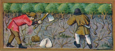 Março - trabalhando na vinha, século XV, 1939. de Robinet Testard