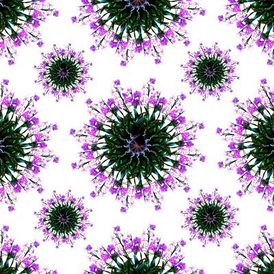 Mundo das Orquídeas de Robyn Parker