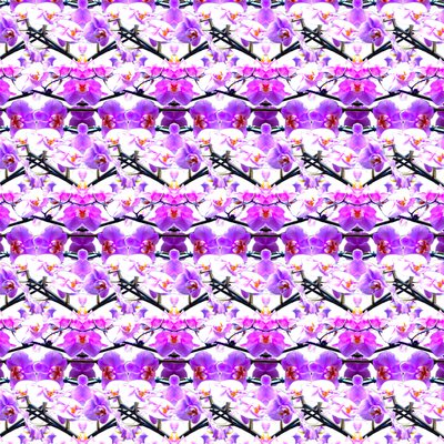 Repetição de orquídea roxa de Robyn Parker
