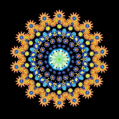 Roda de peixe tropical 2 de Robyn Parker