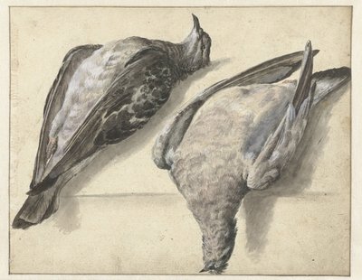 Dois pombos mortos de Rochus van Veen