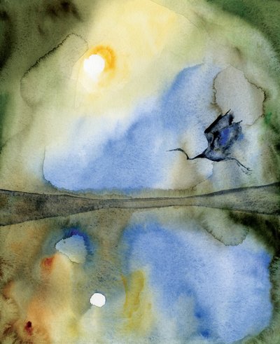 Reflexo de um pássaro etéreo de RodMacIver