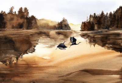  de RodMacIver