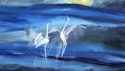 A dança graciosa da garça-branca de RodMacIver