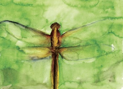 Libélula Verde em Aquarela de RodMacIver