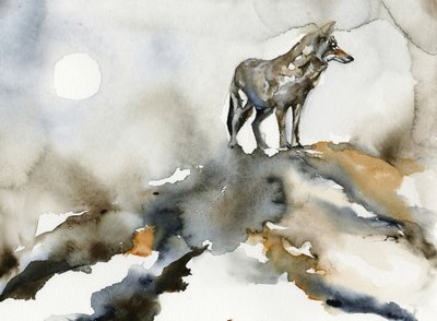 Lua do Lobo Solitário de RodMacIver