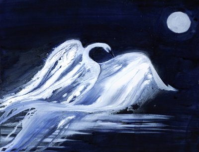 Cisne ao luar de RodMacIver