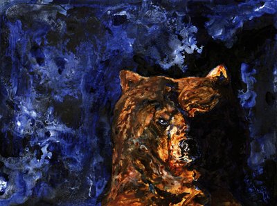 O olhar poderoso do urso pardo de RodMacIver