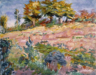 Paisagem, c.1910 de Roderic OConor