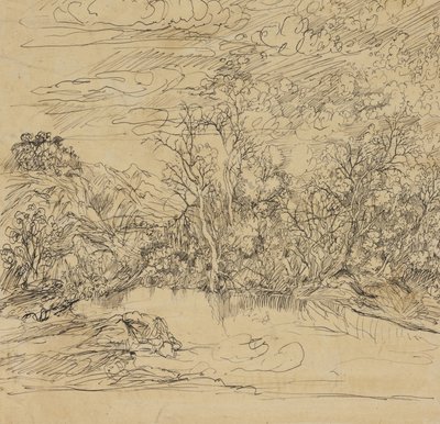 Banco de uma lagoa de Rodolphe Bresdin