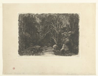 Paisagem florestal com riacho e árvores suspensas Le Ruisseau sous bois de Rodolphe Bresdin