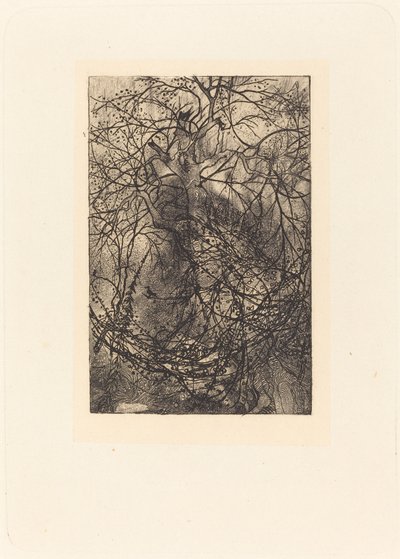 Galhos de Rodolphe Bresdin