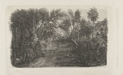 Paisagem com riacho e árvores nas margens Le cours d