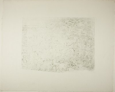 A Grande Batalha de Rodolphe Bresdin