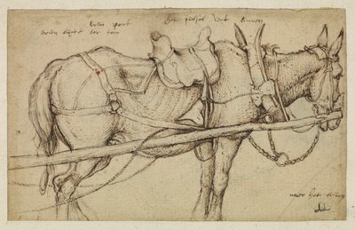 Mula em arnês de Roelandt Jacobsz. Savery