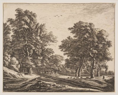 N.º 4, de Seis vistas no bosque de Haia de Roelant Roghman