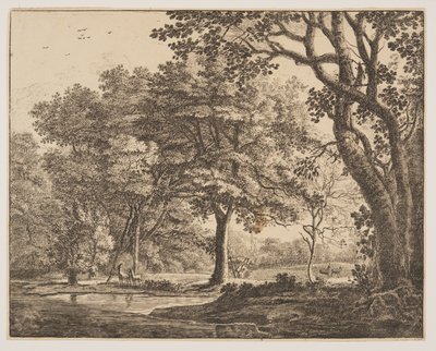 Placa. 6, de Seis vistas no bosque de Haia de Roelant Roghman