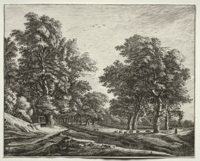 Seis vistas no Bosque de Haia: Placa 4, Cabras Sob as Árvores de Roelant Roghman