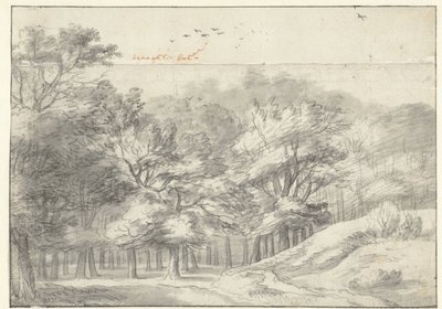 Vista no Haagse Bos de Roelant Roghman