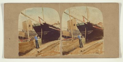 Hastings. Um estudo na praia. de Roger Fenton