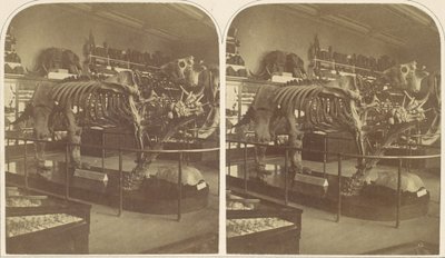 paisagem de Roger Fenton