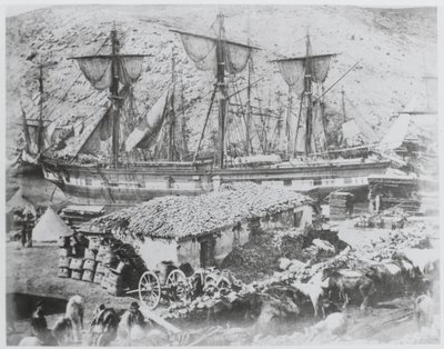 O cais de gado no porto de Balaklava de Roger Fenton