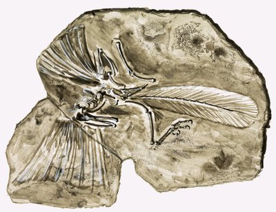 In the Days of the Dinosaurs: Segredo na Pedra de Roger Payne
