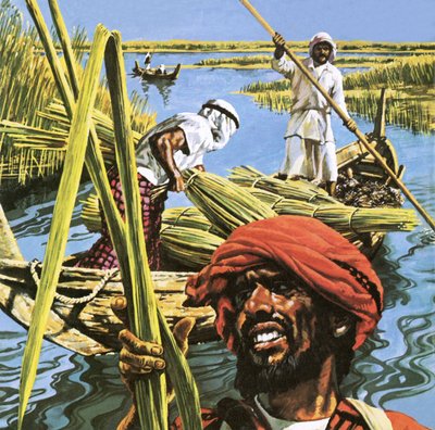 Homens dos pântanos do Sul do Iraque de Roger Payne