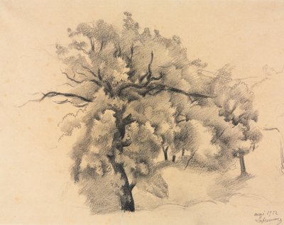Estudo de Árvores de Roger de La Fresnaye