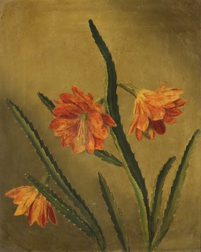 Estudo das flores (óleo sobre tela) de Rolinda Sharples