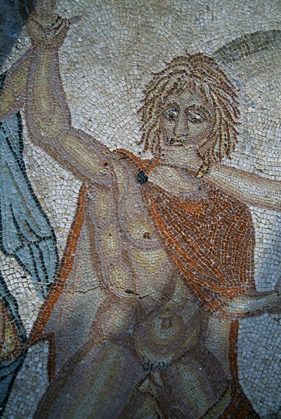 Rapto de Hylas por Ninfas, mosaico na Casa de Vénus na cidade romana de Volubilis (Lista do Património Mundial da UNESCO) de Roman