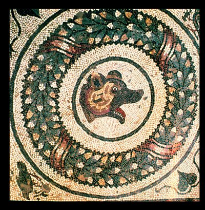 Cabeça de Urso, mosaico romano, início do século IV (mosaico) de Roman