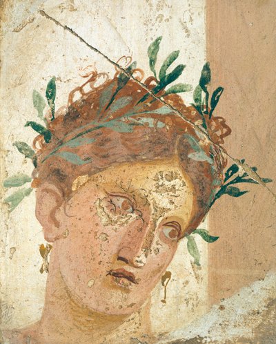 O rosto de uma jovem rapariga, de Herculaneum, Campania. Civilização Romana, 20-10 AC. de Roman