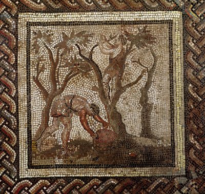 Colheita de uvas, de Saint-Romain-en-Gal (mosaico) de Roman