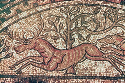 Hinton St. Mary pavimento (detalhe) c.350 AD (mosaico) de Roman