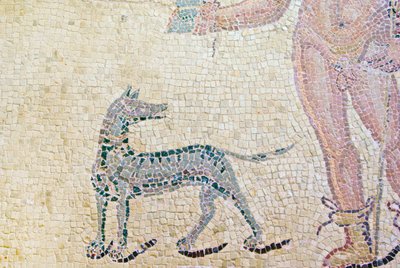 Hippolytus, e, phasedra, detalhe, de, hipolytus, cão, casa, de, dionysos, paphos, chipre, mosaico de Roman
