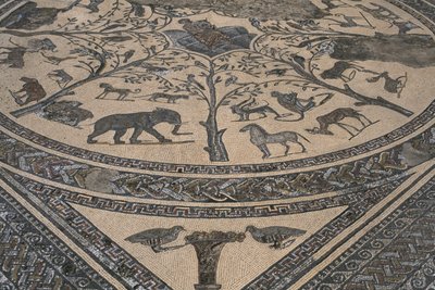 Casa, de, orfeu, orfeu, cercado, por, animais selvagens, detalhe, (mosaic) de Roman