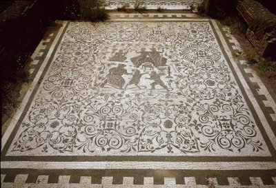Mosaico de pavimento da casa de Dionísio e Ariane, século II (fotografia) de Roman