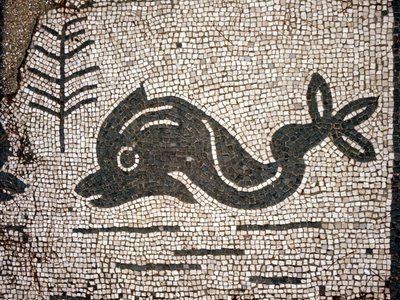Representação de um golfinho após um mosaico na praça das Corporações de Óstia (Ostia) antica. de Roman