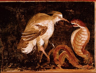 Arte Romana: "Luta entre uma garça e uma cobra" fresco romano da casa dos Epigramas, Pompeia, Itália (Luta entre uma garça e uma cobra, fresco da casa degli Epigrammi, Pompeia) 60-80 d.C. de Roman